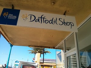 The Daffodil Shop Pic 2