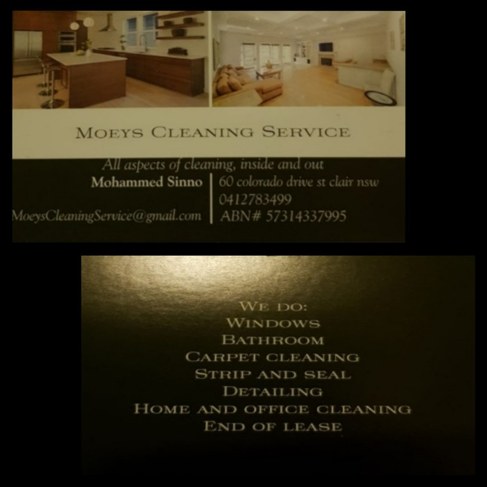 Moeys Cleaning Services Pic 1