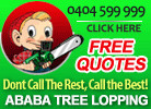 Ababa Tree, Gardening & Landscaping Services Pic 1