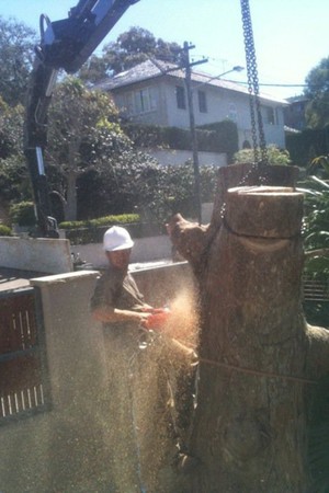 Ababa Tree, Gardening & Landscaping Services Pic 2