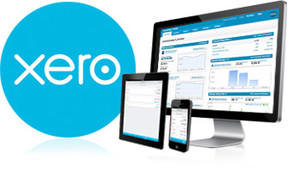 Rise Business Solutions Pic 4 - Xero helps you take control of your numbers We provide Xero Setup and Training services to ensure small business owners get the most out of their software