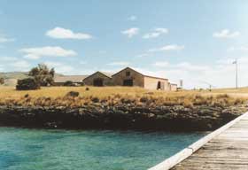 Mt Dutton Bay Woolshed Pic 1 - Mt Dutton Bay Woolshed Backpackers Mt Dutton Bay via Wangary