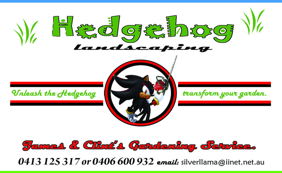 Hedgehog Landscaping Pic 1