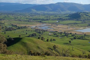 Binderee Grove Bed & Breakfast Pic 4 - view from top of our hill looking towards Mt Murramarangbong and the Kiewa Valley