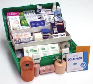 Aidkits - First Aid Kits & Supplies Pic 2 - green portable sports first aid kit