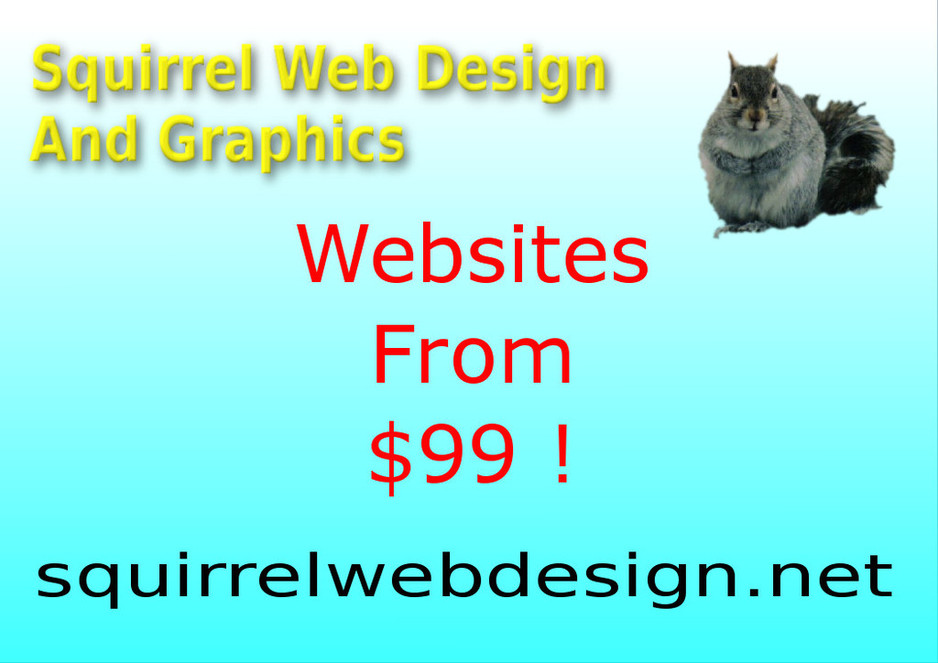 Squirrel Web Design And Graphics Pic 1