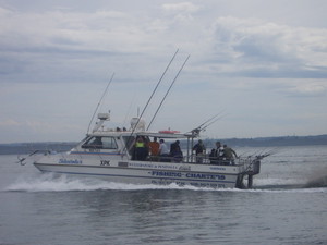 westernport fishing charters Pic 2