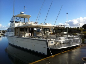 westernport fishing charters Pic 3