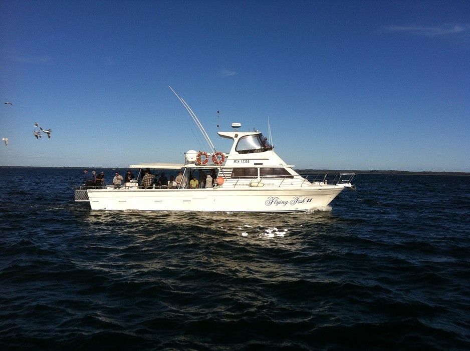 westernport fishing charters Pic 1