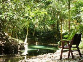 Daintree Wilderness Lodge Pic 1 - Daintree Wilderness Lodge