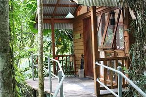 Daintree Wilderness Lodge Pic 2 - the honeymooners cabin