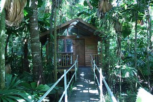 Daintree Wilderness Lodge Pic 3 - your hideaway in the rainforest