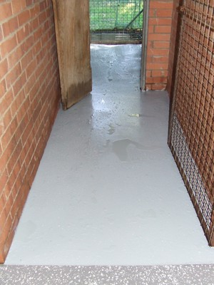 Canine Country Club  Boarding Kennels & Cattery Pic 5 - dog kennel