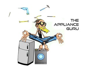 The Appliance Guru Newcastle Pic 3 - Washing Machine Repair Newcastle