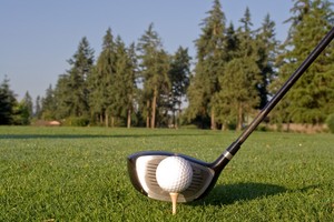 ExerciseNow Pic 2 - Golf