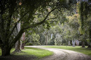 Iris Park Garden Weddings Pic 5 - Part of the stunning 300m long treelined drive