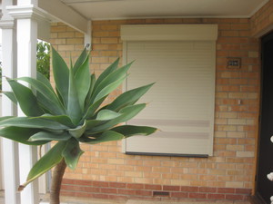 Roller Shutter Repairs & Maintenance, RSCS Pic 3