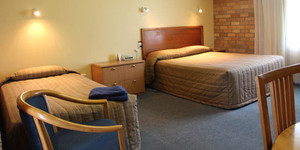 Cudgegong Valley Motel Pic 3 - Executive Room