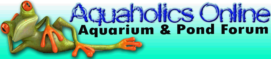 FREE Aquaholics Online forum Pic 1