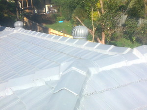 Aardwolf Roofing Pic 3