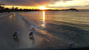 Ya Mate Pic 2 - beautiful Shoal Bay at dusk