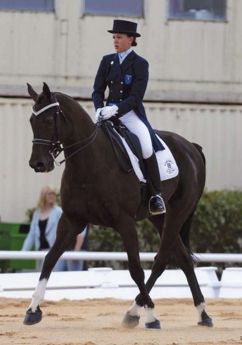 Marzel Park Dressage Horses Pic 1 - northern tarpeia ii aachen challenge 2009