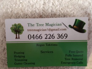 The Tree Magician Pic 2