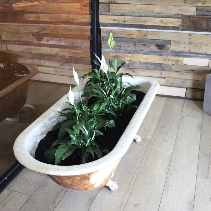 Cobaarz Aveda Concept Salon Pic 1 - The bathtub