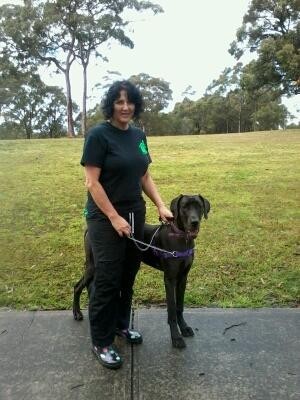 Pawz Pet Sitting and Homecare Pic 3 - Time for a walk