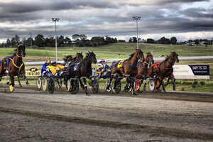 Bathurst Harness Racing Club Ltd Pic 4