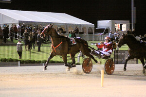 Bathurst Harness Racing Club Ltd Pic 3