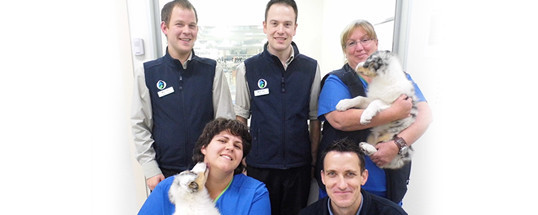 Our Vet Tuggeranong In Greenway Act Veterinarians Truelocal
