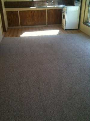 Central Coast Carpet Cleaning Pic 3 - After