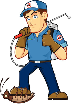 All In One Pest Control & Termites Pic 5 - Pest guy