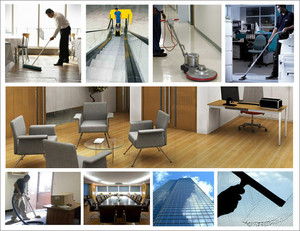 The Cleaner Company Pic 2