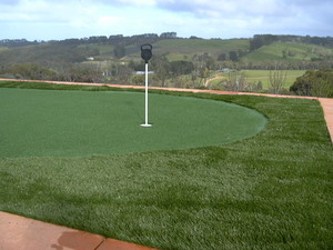 newturf solutions Pic 3