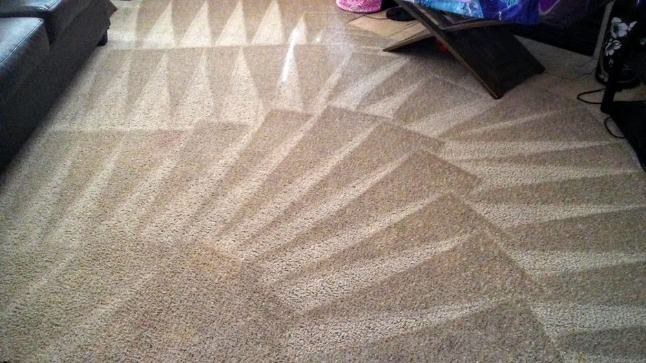 Marks Carpet Cleaning Melton Pic 1