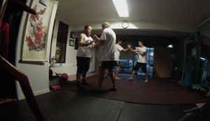 Wing Chun Kung Fu Pic 3