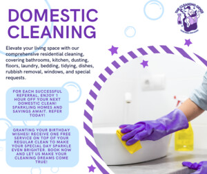 The Cleaning Genie Pic 5 - Domestic Cleaning Services