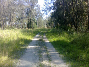 Hunter Valley Mowing Pic 5