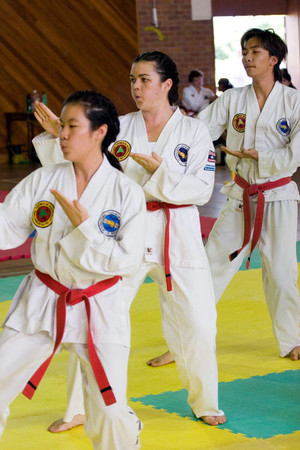 Bai Rui Taekwon-Do Pic 2