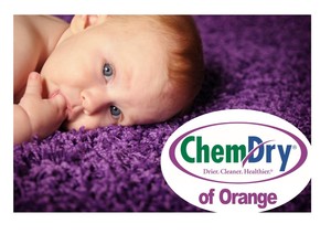 Chemdry of Orange Pic 3