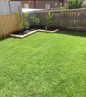 Advance Turf Pic 5