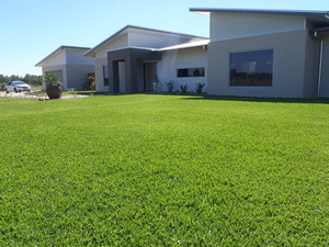 Advance Turf Pic 2