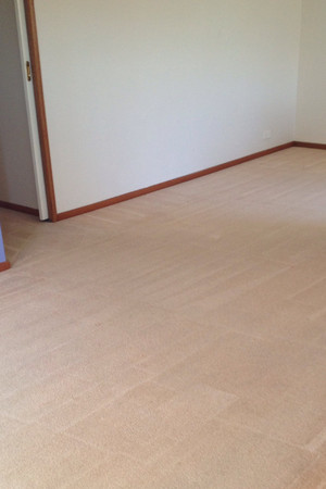 Stain Busters Cleaning Systems Perth Pic 2 - Dirty carpet now clean