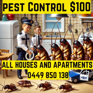 Armani Pest Control Pic 2