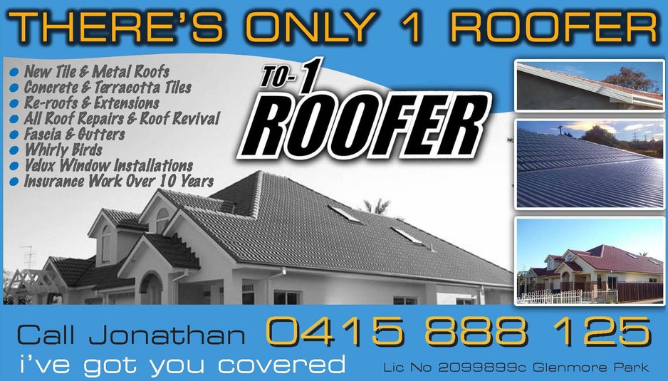 T O-1 Roofer Pic 1