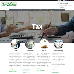 TrueVine Tax and Accounting Pic 3 - TrueVineTax and Accounting website