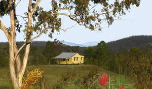 Barking Owl Retreat Pic 2 - dingos lair