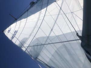 Switch Sails Pic 4 - New Main for my HR 34 Fantastic job